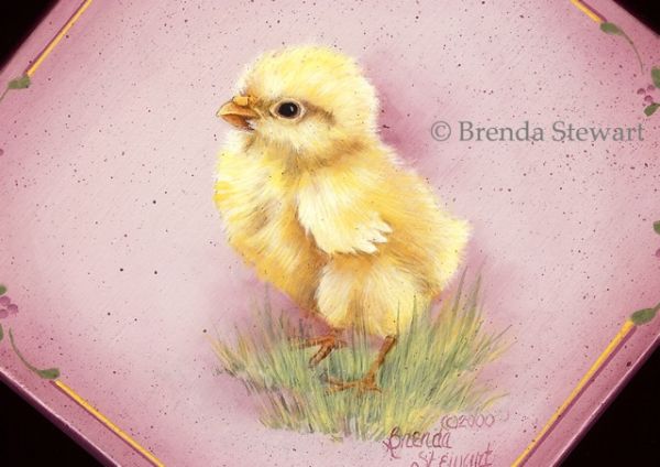 Spring Chick